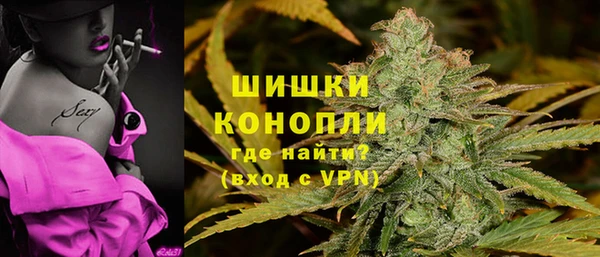 прущие грибы Абдулино
