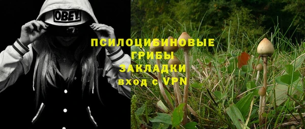 прущие грибы Абдулино